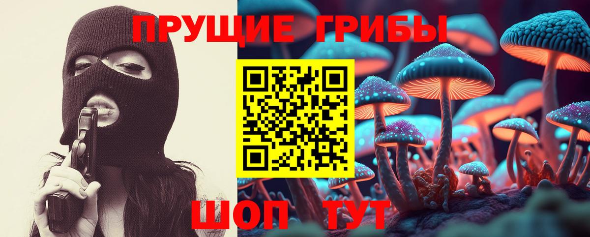 Галлюциногенные грибы Psilocybe  Вход с VPN  Минусинск 